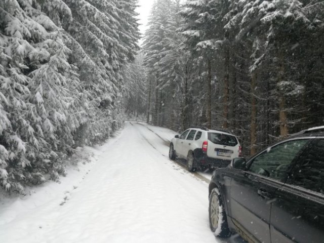 Bringtreueprüfung in Mürzzuschlag